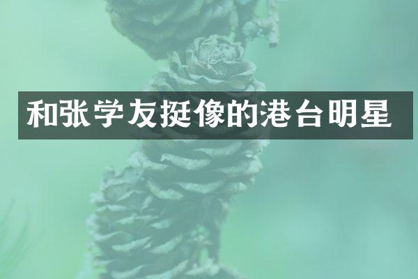 和张学友挺像的港台明星