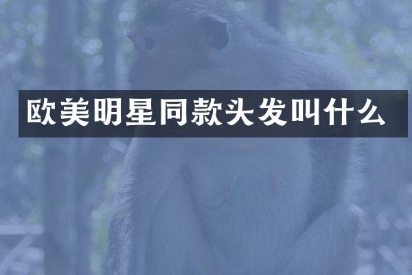 欧美明星同款头发叫什么