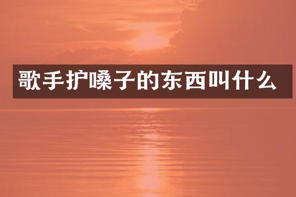 歌手护嗓子的东西叫什么