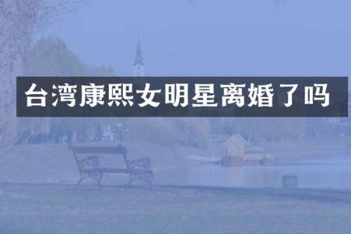 台湾康熙女明星离婚了吗
