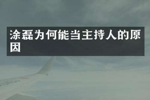 涂磊为何能当主持人的原因