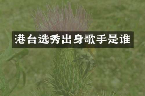 港台选秀出身歌手是谁