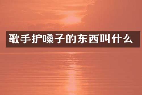 歌手护嗓子的东西叫什么