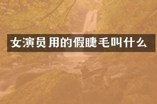 女演员用的假睫毛叫什么