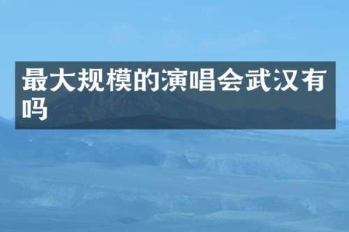 最大规模的演唱会武汉有吗