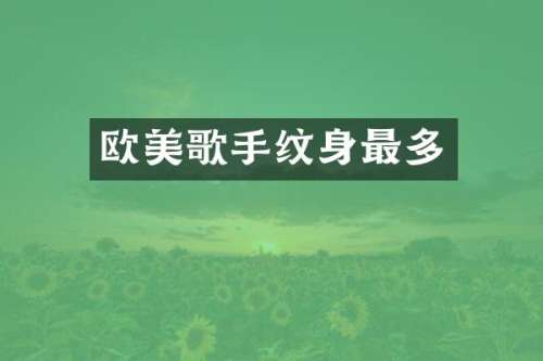 欧美歌手纹身最多