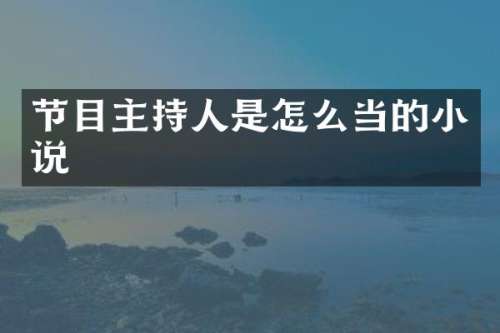 节目主持人是怎么当的小说