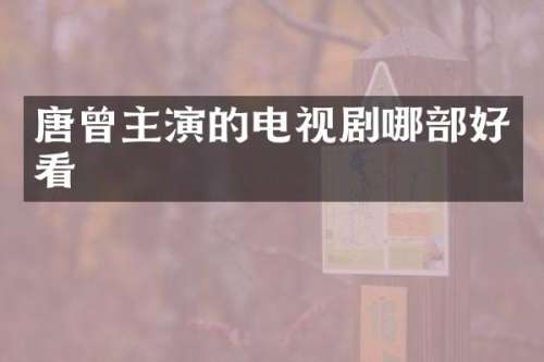 唐曾主演的电视剧哪部好看