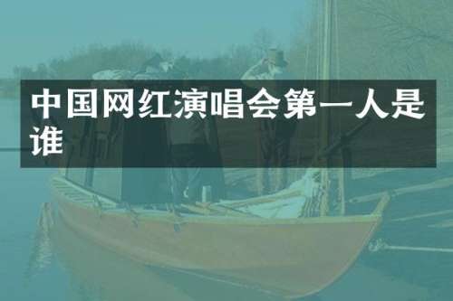 中国网红演唱会第一人是谁