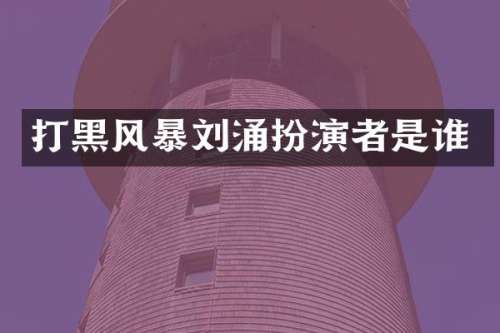 打黑风暴扮演者是谁