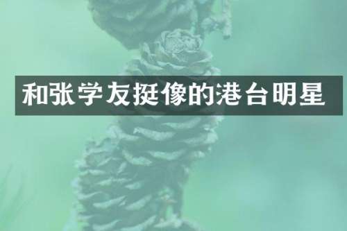 和张学友挺像的港台明星