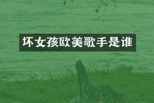 坏女孩欧美歌手是谁