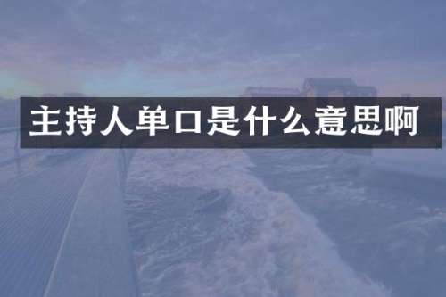 主持人单口是什么意思啊