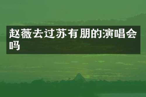 赵薇去过苏有朋的演唱会吗