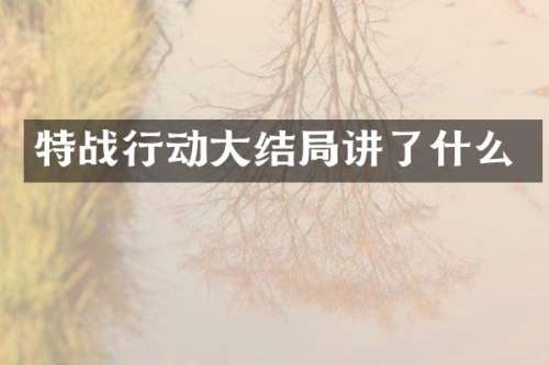 特战行动大结局讲了什么