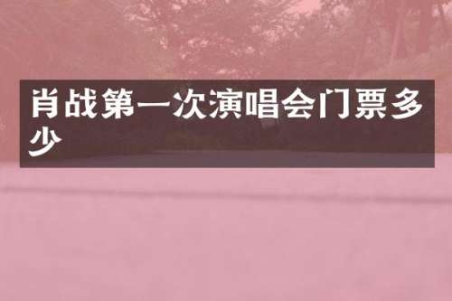 肖战第一次演唱会门票多少