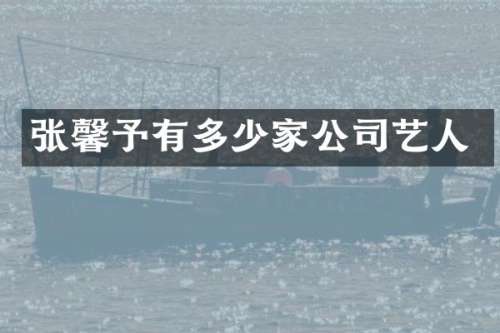 张馨予有多少家公司艺人