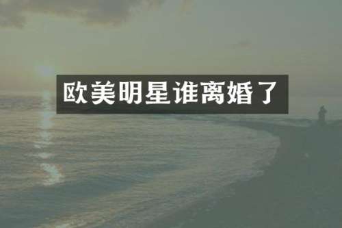 欧美明星谁离婚了