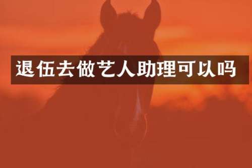 退伍去做艺人助理可以吗