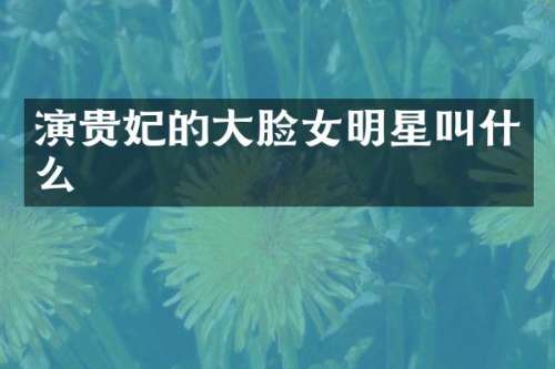 演贵妃的大脸女明星叫什么