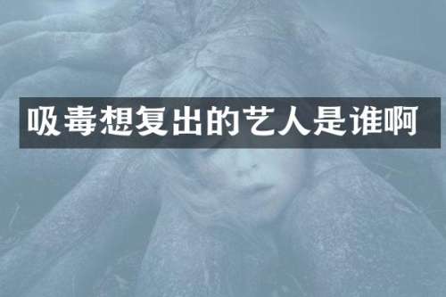 吸毒想复出的艺人是谁啊