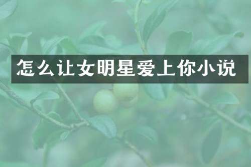 怎么让女明星爱上你小说
