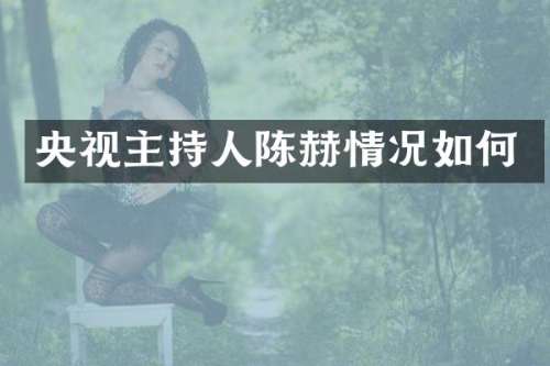 央视主持人陈赫情况如何