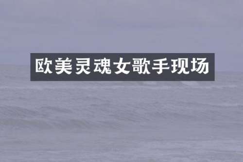 欧美灵魂女歌手现场