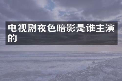 电视剧暗影是谁主演的