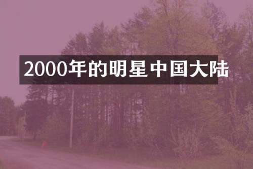 2000年的明星中国大陆