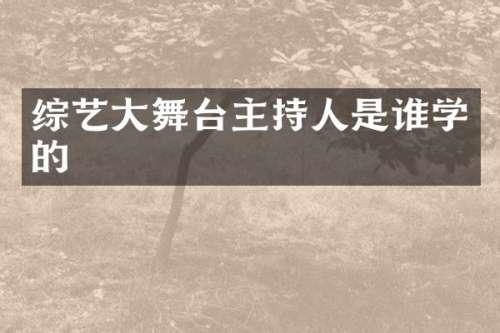 综艺大舞台主持人是谁学的