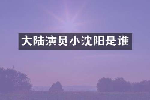 大陆演员小沈阳是谁