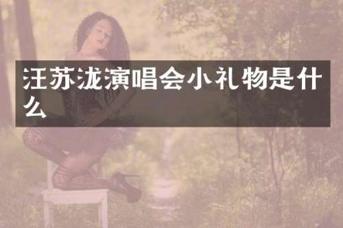 汪苏泷演唱会小礼物是什么