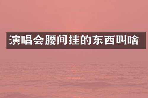 演唱会腰间挂的东西叫啥
