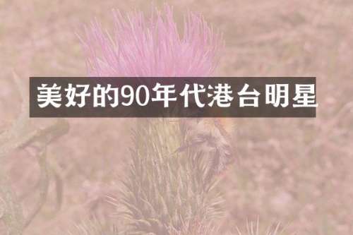 美好的90年代港台明星