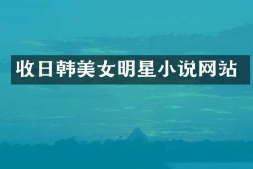 收日韩明星小说网站