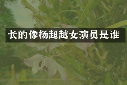 长的像杨超越女演员是谁