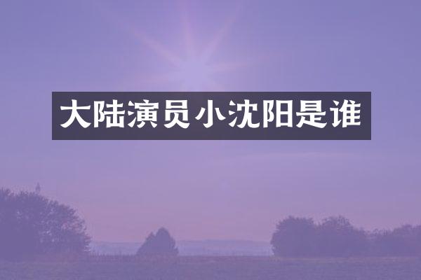 大陆演员小沈阳是谁