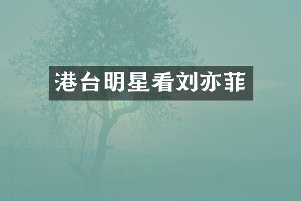 港台明星看刘亦菲