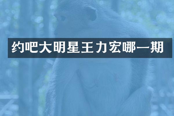 约吧大明星王力宏哪一期