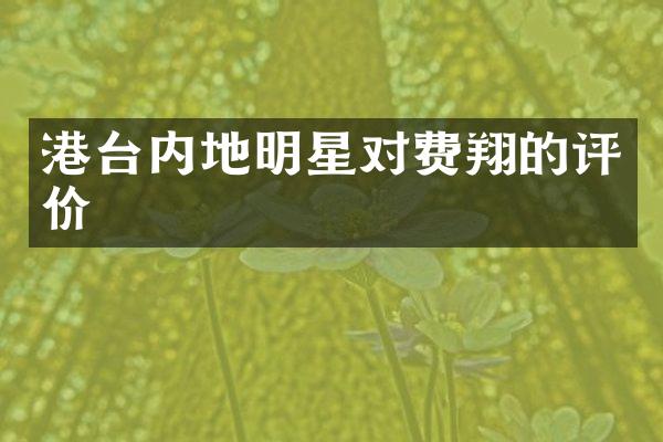 港台内地明星对费翔的评价