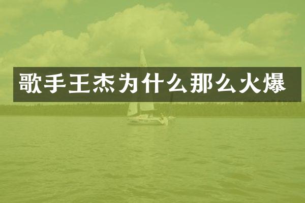 歌手王杰为什么那么火爆