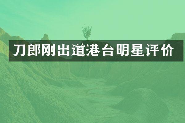 刀郎刚出道港台明星评价