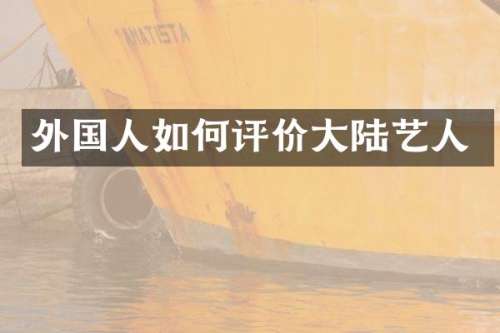 外国人如何评价大陆艺人