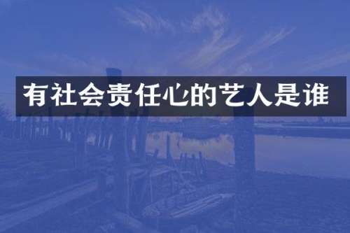 有社会责任心的艺人是谁