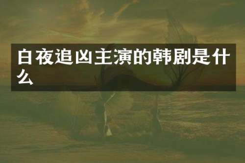 白夜追凶主演的韩剧是什么
