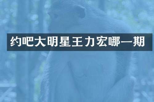约吧大明星王力宏哪一期