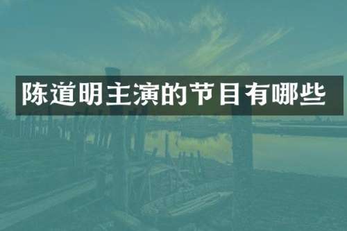 陈道明主演的节目有哪些
