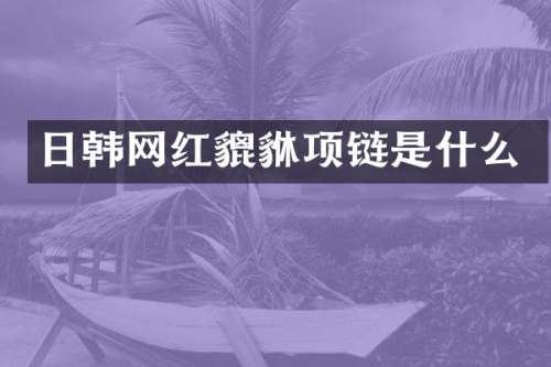 日韩网红貔貅项链是什么