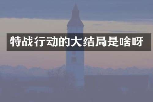特战行动的大结局是啥呀